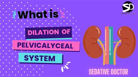 No calculus SOL seen. . Pelvicalyceal system is dilated meaning in hindi